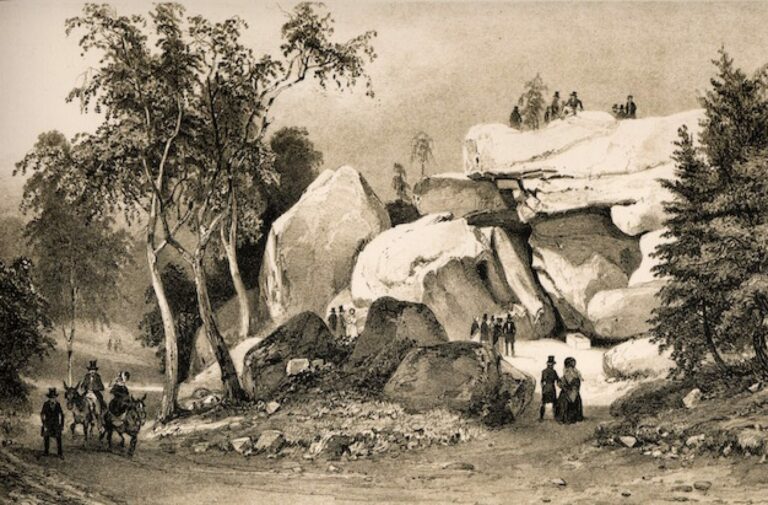 (06-11-2022) Jugez vous-mêmes